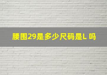 腰围29是多少尺码是L 吗